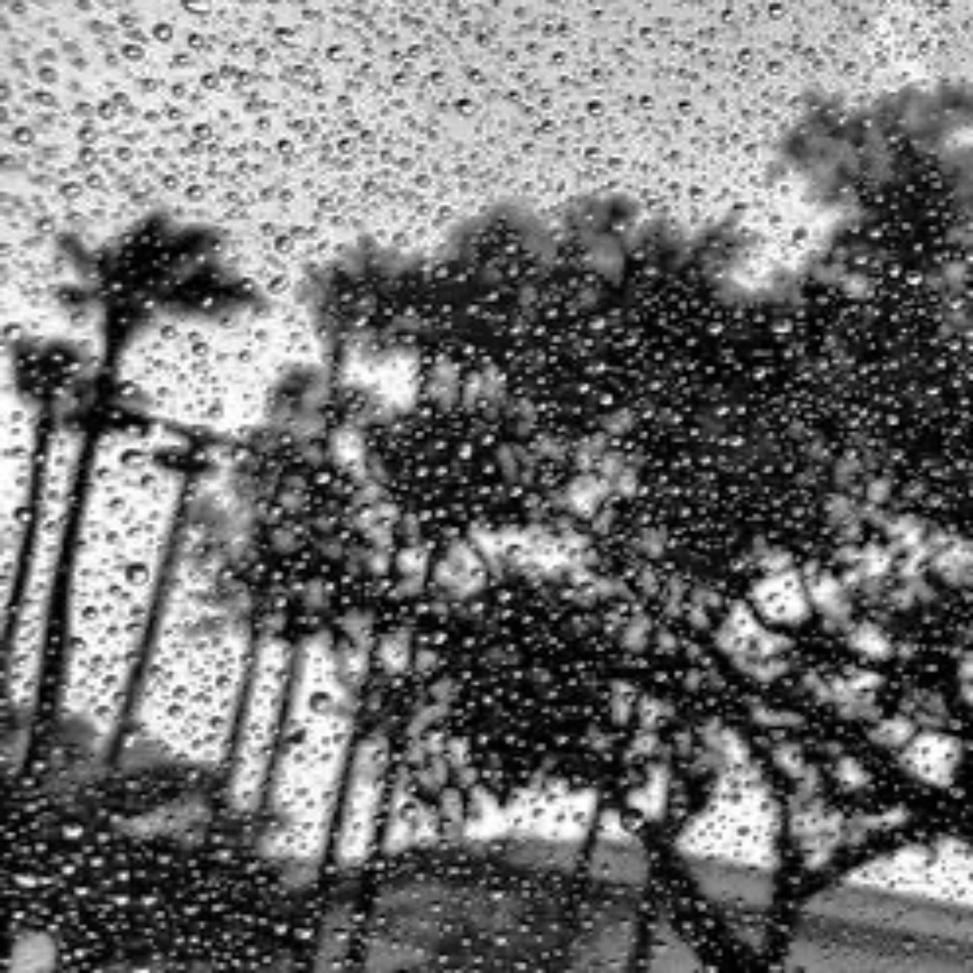 Writers Like To Dream Elizabeth Vitale Radio artwork